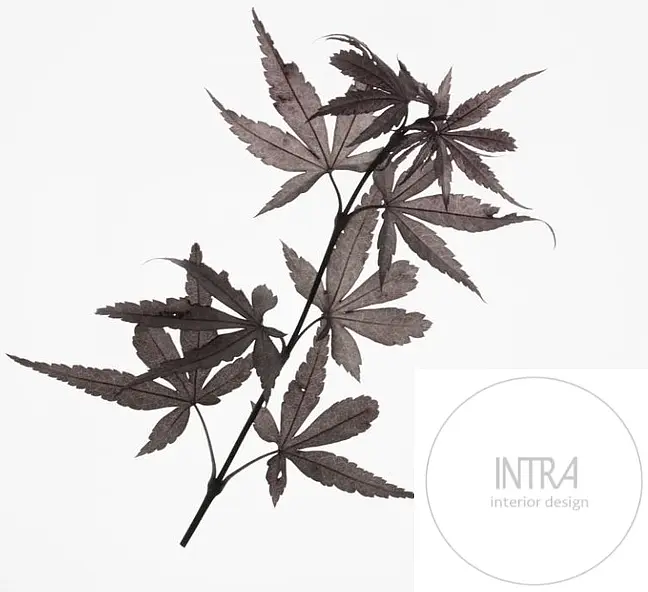 Intra Interiors logo