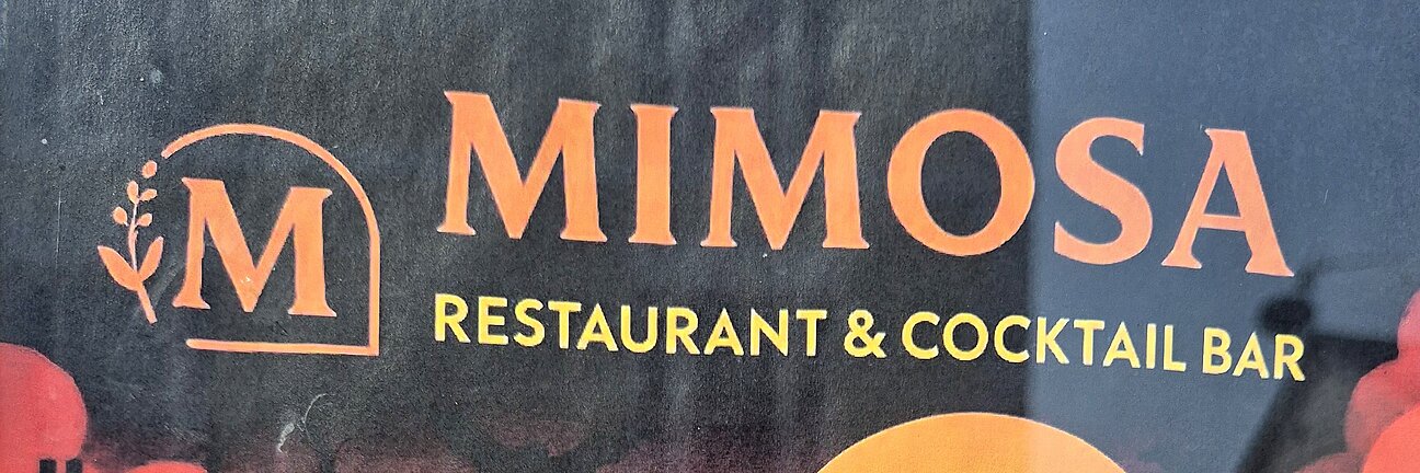 Mimosa poster for Halloween Disco